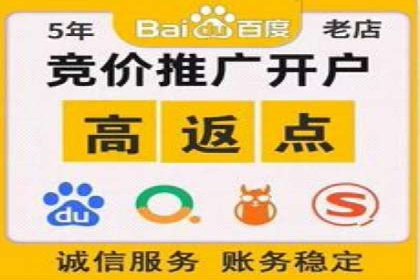 SEM服务在本地化营销中的应用案例